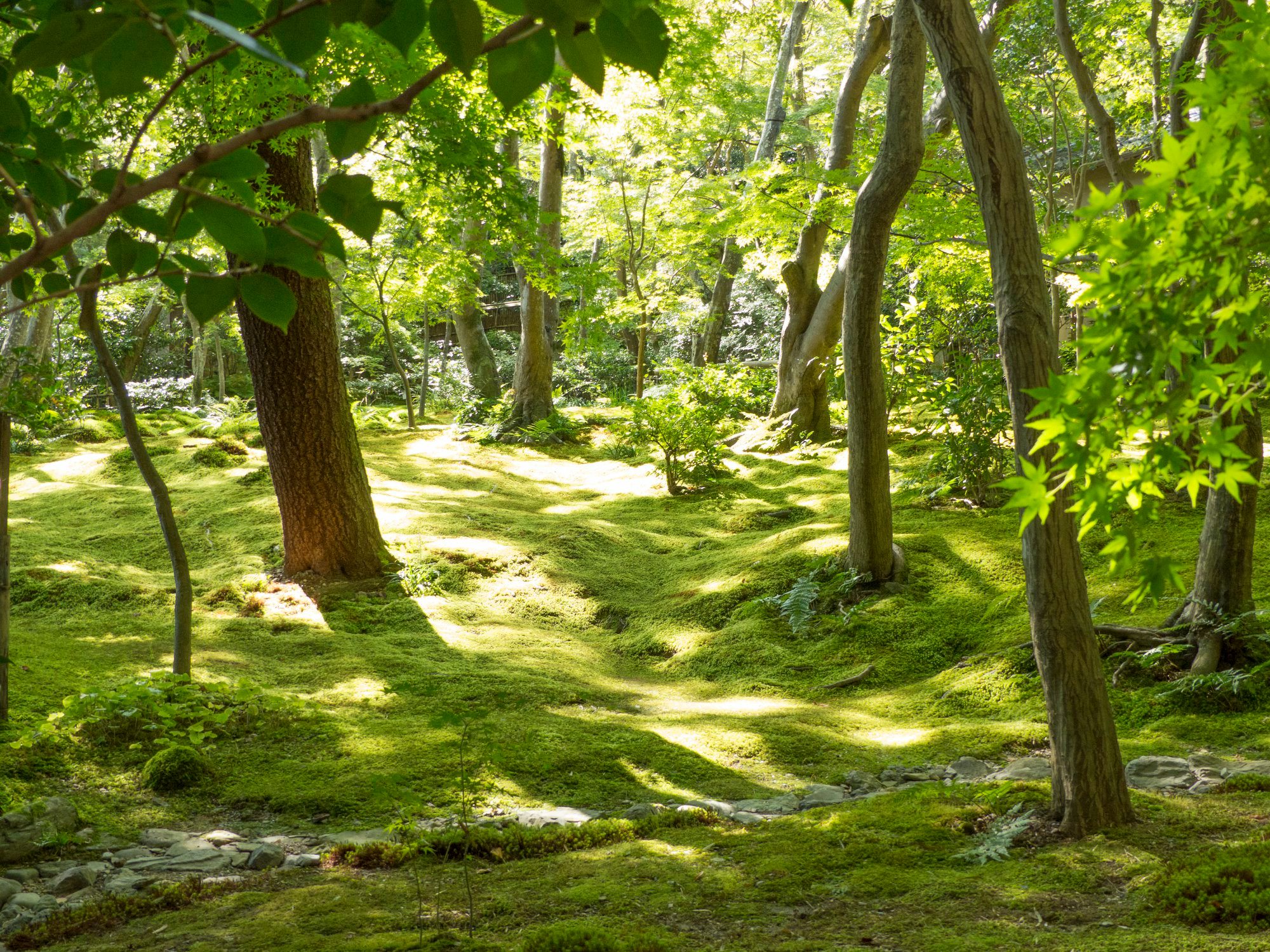 Saiho-ji garden