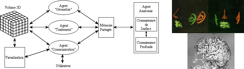 Architecture multi-agents