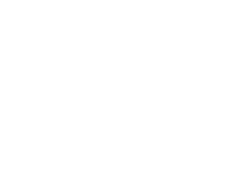 ICN2