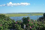 100_1636.jpg