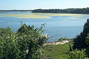 100_1637.jpg