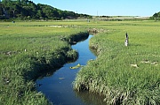 100_1639.jpg