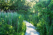 100_1642.jpg
