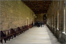 dcp_0865.jpg