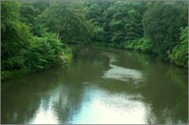 dcp_0881.jpg